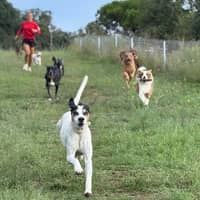 Foto del cuidador: sònia c.