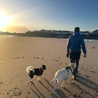 Sitter Profile Image: Sean L.