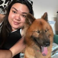 Photo de profil du pet sitter : Ashley V.