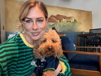 Sitter Profile Image: Luna P.