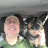 Sitter Profile Image: David M.