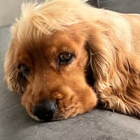 Foto del cuidador: Alejandra G.