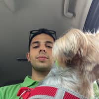 Immagine del profilo del sitter: Umut T.