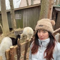 Sitterprofilbild: Hanyue H.