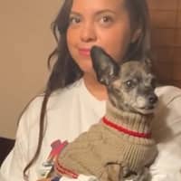 Sitter Profile Image: Stephanie S.