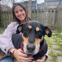 Sitter Profile Image: Lisa H.