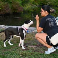 Sitter Profile Image: Dayanara M.