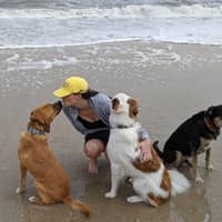 Sitter Profile Image: Raven J.