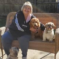 Sitter Profile Image: Selyn S.