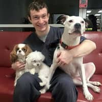 Sitter Profile Image: Jason A.