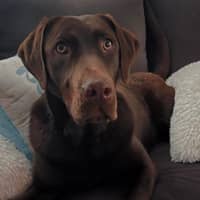 Sitter Profile Image: Mylea G.