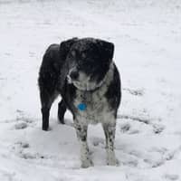 Sitter Profile Image: Jessie G.