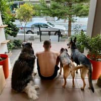 Sitter Profile Image: Danos P.