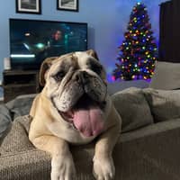 Sitter Profile Image: Antonio S.