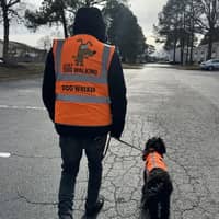 Sitter Profile Image: Antonio S.