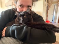 Sitter Profile Image: Chelsea D.