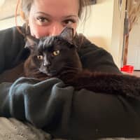 Sitter Profile Image: Chelsea D.