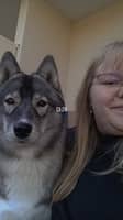 Photo de profil du pet sitter : Oceane D.
