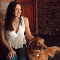 Sitter Profile Image: Emily S.