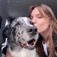 Photo de profil du pet sitter : julie o.