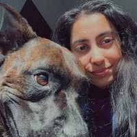 Sitter Profile Image: Srilayah K.