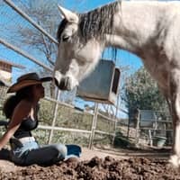 Sitter Profile Image: Rachel J.