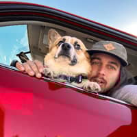 Sitter Profile Image: Andre T.