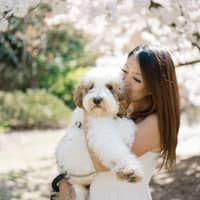 Sitter Profile Image: Joy S.