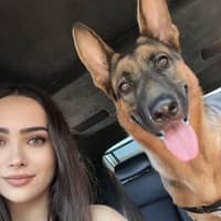 Sitter Profile Image: preni a.