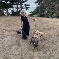 Sitter Profile Image: Claire C.