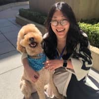 Sitterprofilbild: Chenxi G.