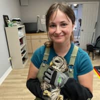 Sitter Profile Image: Shannon K.