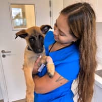 Sitterprofilbild: Elea A.