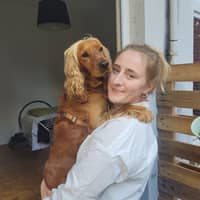 Sitterprofilbild: Gesine O.