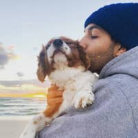 Sitter Profile Image: Shantanu M.