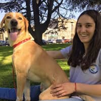 Sitter Profile Image: Agustina B.