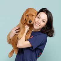 Sitter Profile Image: Katherine N.