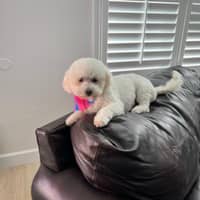 Sitter Profile Image: Sandra R.