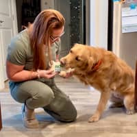 Sitter Profile Image: Rickie R.