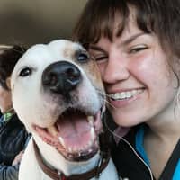 Sitter Profile Image: Natalie J.