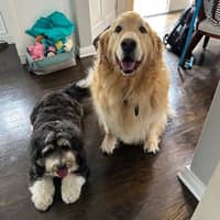 Sitter Profile Image: Allison G.