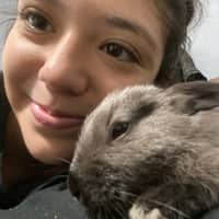 Sitter Profile Image: Carolina H.