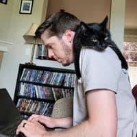 Sitter Profile Image: David H.