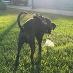 Sitter Profile Image: miguel angel a.