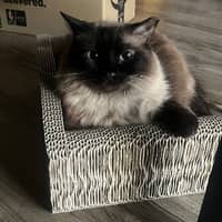 Sitter Profile Image: Wendy R.