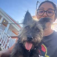 Sitter Profile Image: Aline R.