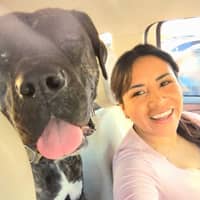 Sitter Profile Image: Michelle L.