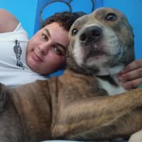 Sitter Profile Image: elohem m.