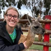 Sitter Profile Image: Allison M.