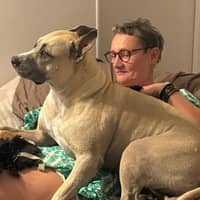 Photo de profil du pet sitter : Beatrice P.